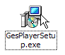 GesPlayerSetup.exe